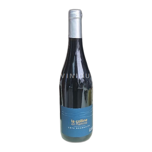 Vin Rouge sec Romain Paire 2023 France Vallée de la Loire Côte-roannaise AOC