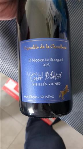 Loire Valley Saint-Nicolas-de-Bourgueil Vignoble de la Chevallerie Martial Vieilles Vignes 2023