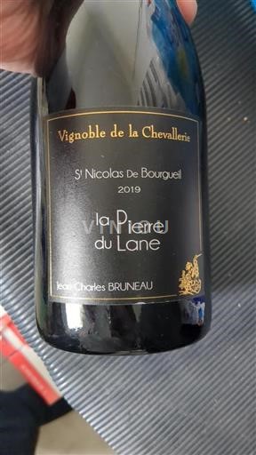 Loire Valley Saint-Nicolas-de-Bourgueil Vignoble de la Chevallerie La Pierre du Lane 2019
