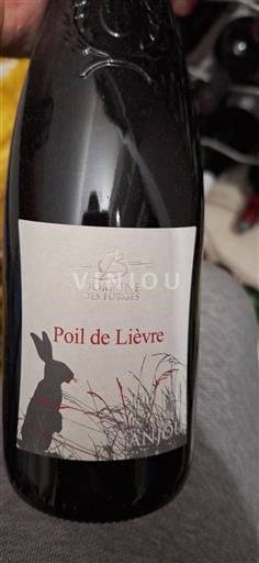 Valle del Loira Anjou Domaine Des Forges Poil de Lièvre 2023