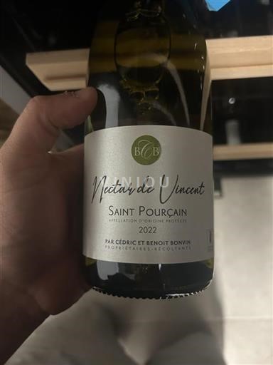 Loiretal Saint-Pourçain Cédric et Benoît Bonvin Nectar de Vincent 2022