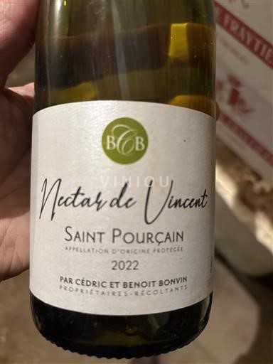 Valea Loarei Saint-Pourçain Cédric et Benoît Bonvin Nectar de Vincent 2022