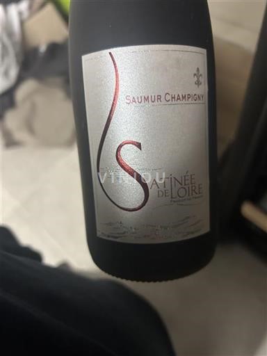 Valle della Loira Saumur-Champigny Satinée de Loire Senza annata