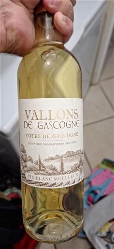 South West Côtes de Gascogne Vallons de Gascogne 2023