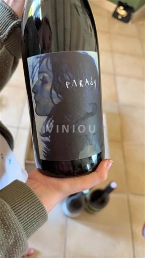 Rhônetal Saint-Joseph Bernard Gripa Parady 2022