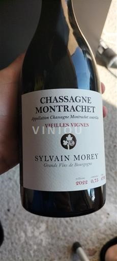 Borgonha Chassagne-Montrachet Sylvain Morey Vieilles Vignes 2022