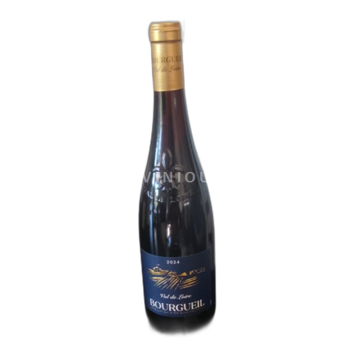 Valle del Loira Bourgueil non 2024