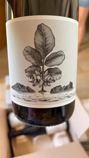 Provence Domaine L’Or Vert Aigine 2023