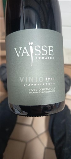 Languedoque Não especificado Domaine Vaïsse L'Aphyllante 2022