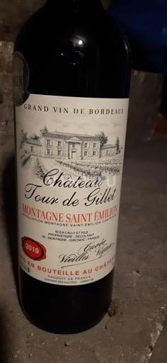 Bordeaux Montagne-saint-émilion Château Tour de Gillet Vieilles Vignes 2019