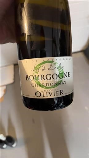 Vin Blanc sec Les 2 Dindes Antoine Olivier 2021 France Bourgogne AOC