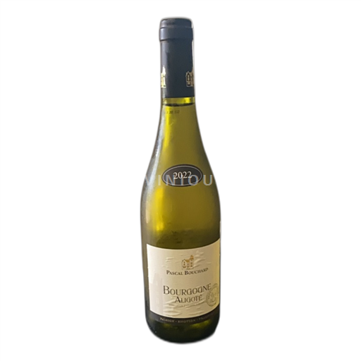Burgund Bourgogne Aligoté Pascal Bouchard 2022