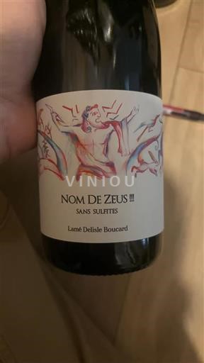 Valle del Loira Bourgueil Lamé Delisle Boucard Nom de Zeus 2023
