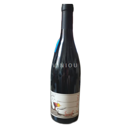 Vale do Loire Bourgueil Domaine Bel Air Jour de Soif 2023