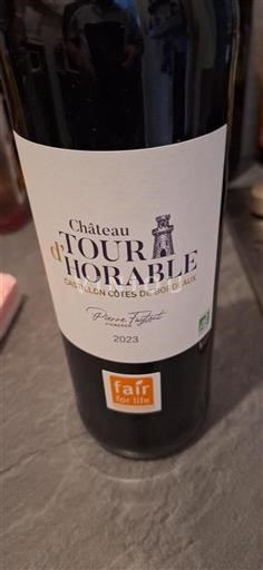 Bordeaux Castillon-côtes-de-bordeaux Château Tour Horable 2023