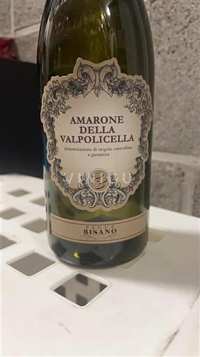 Veneto Amarone della Valpolicella Pagus Bisano 2022