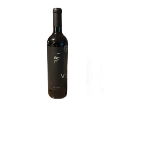 Vin Rouge sec Alma Negra 2021 Argentine Mendoza