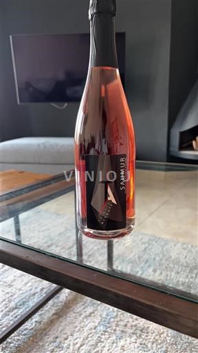 Valle del Loira Saumur Thierry Arnauld Sin añada