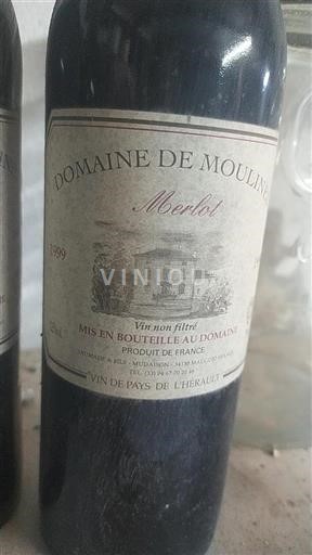 Languedoc Not Specified Domaine Moulinier Merlot 1999