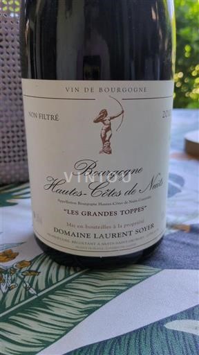Burgundsko Hautes Côtes de Nuits Domaine Laurent Soyer Les Grandes Toppes 2010