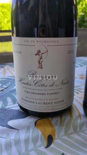 Bourgogne Domaine Laurent Soyer Les Grandes Toppes 2010