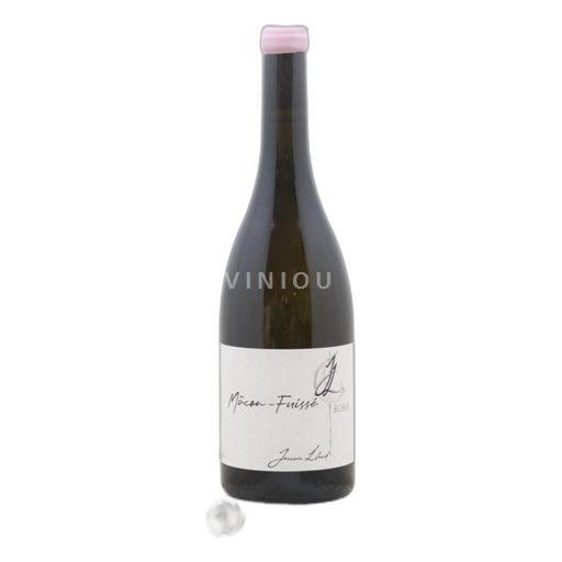 Burgundy Mâcon and Mâcon-Villages Jessica Litaud Macon fuissé 2022