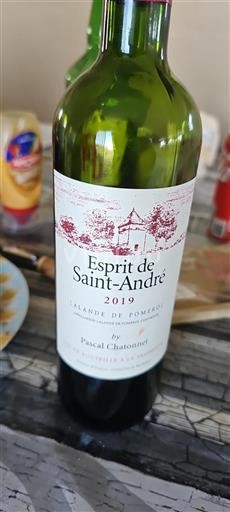 Vin Rouge sec Esprit de Saint-André Pascal Chatonnet 2019 France Bordeaux Lalande-de-pomerol AOC