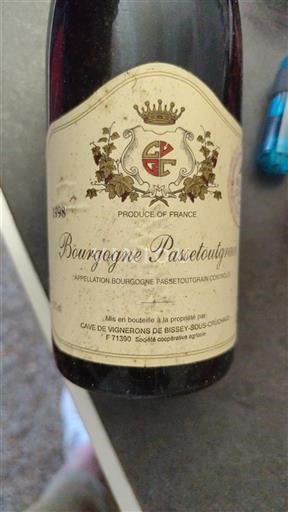 Burgundsko Bourgogne-passetoutgrain Cave de Vignerons de Bissey-sous-Cruchaud 1998