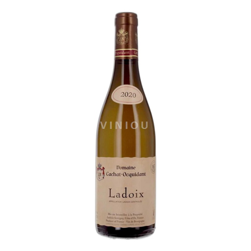 Burgundi Ladoix Cachat Ocquidant 2020