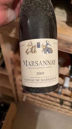 Burgundi Marsannay Château Marsannay 2009