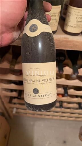 Burgund Côte de Beaune Villages André Montessuy 2007