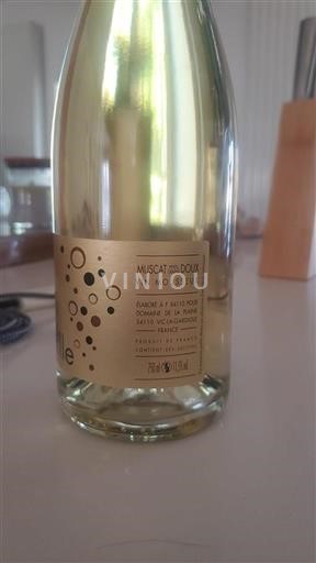 Alsace Muscat Domaine La Plaine 2023