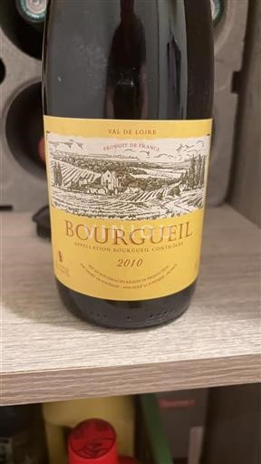 Valle del Loira Bourgueil Domaine Fontenay 2010