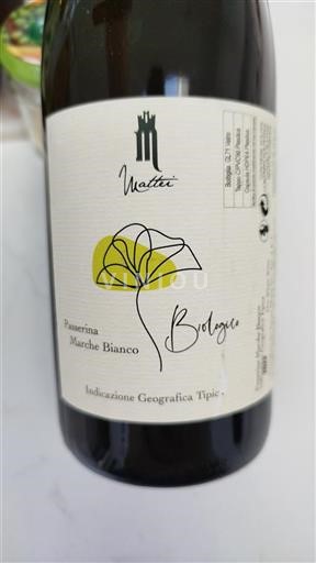 Marche Not Specified Mattei Belogico 2022