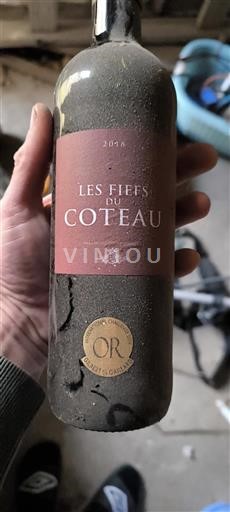 Loire Valley Coteaux-du-Layon Les Fiefs du Coteau 2018