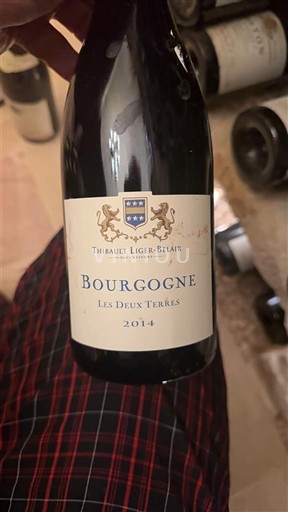 Bourgogne Thibault Liger-Belair Les Deux Terres 2014
