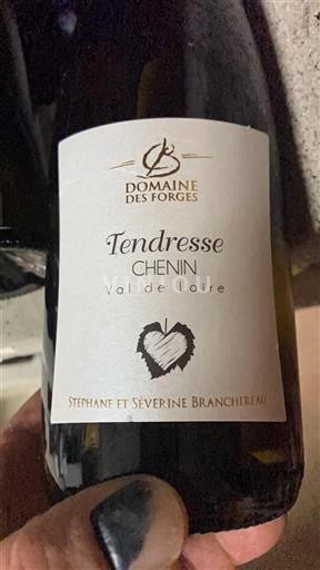 Dolina Loare Domaine Des Forges Tendresse 2024