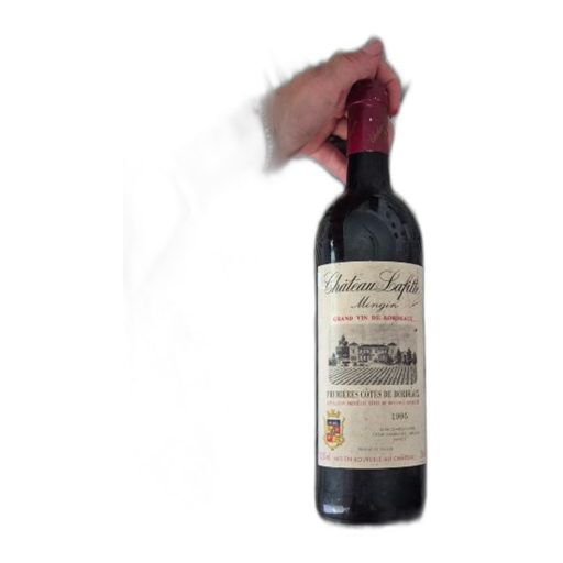Burdeos Primeras Colinas de Burdeos Château Lafitte 1995