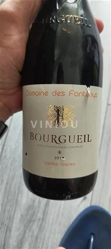 Loire Valley Bourgueil Domaine Des Fontenys Vieilles Vignes 2015