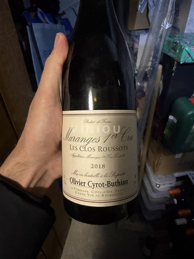 Bourgogne Ikke specificeret Premier Cru Olivier Cyrot-Buthiau Les Clos Roussots 2018