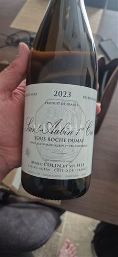 Burgundsko Saint-Aubin Premier Cru Marc Colin et ses Fils Sous Roche Dumay 2023