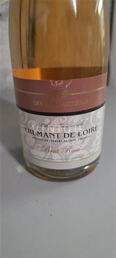 Valle della Loira Crémant-de-Loire Les Caractères Senza annata