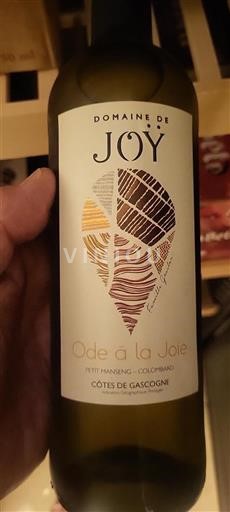 Sudoeste Côtes de Gascogne Domaine Joÿ Ode à la Joie Sin añada