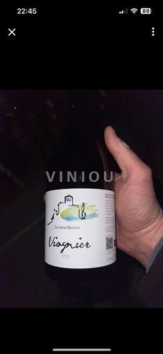 Dolina Loare Dunaj Domaine Besson Viognier 2023