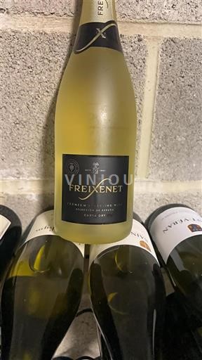 Catalogna Non specificato Freixenet Carta Dry Senza annata