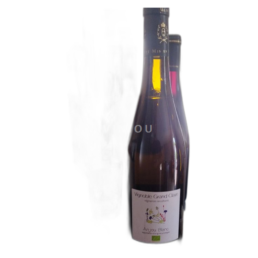 Valle della Loira Anjou Vignoble Grand Claye 2021