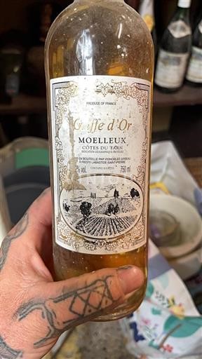 Zuidwest-Frankrijk Côtes du Tarn Vignobles Arbeau Griffe d'Or Niet-geïntegreerd