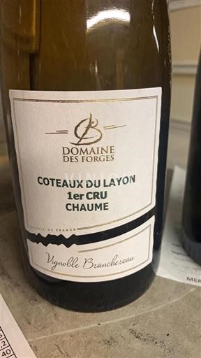 Valle del Loira Coteaux-du-Layon Domaine Des Forges Chaume 2021
