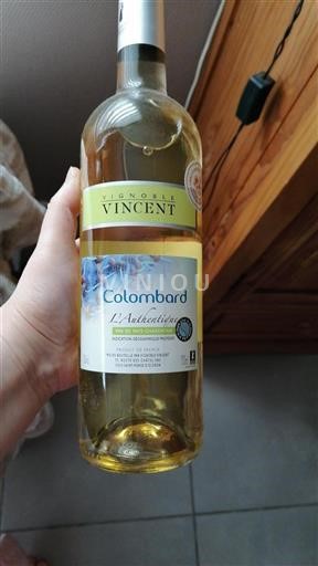 Sudoeste Côtes de Gascogne Vincent Sin añada