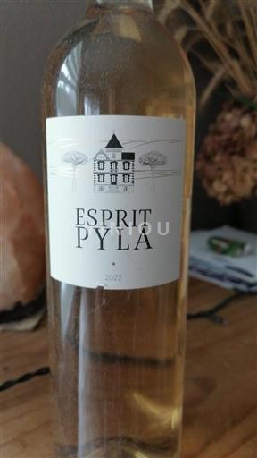 Bordeaux Ikke specificeret Esprit Pyla 2022